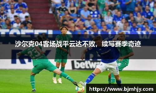沙尔克04客场战平云达不败，续写赛季奇迹