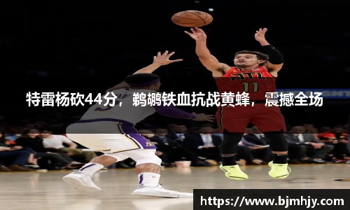 特雷杨砍44分，鹈鹕铁血抗战黄蜂，震撼全场